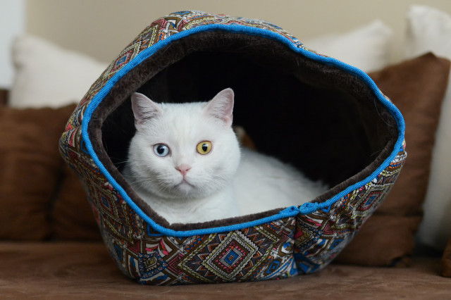 Tunel pro kočky Nero 42 x 42 x 37 cm č.5