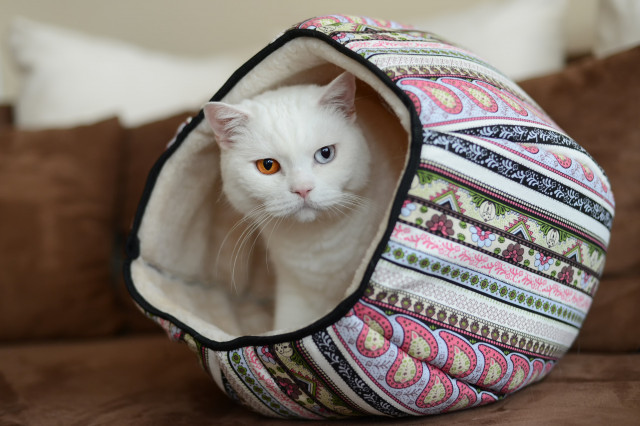 Tunel pro kočky Maja 46 x 32 x 32 cm č.6