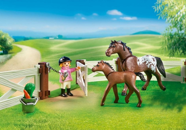 Playmobil 6931 Výběh pro koně č.3