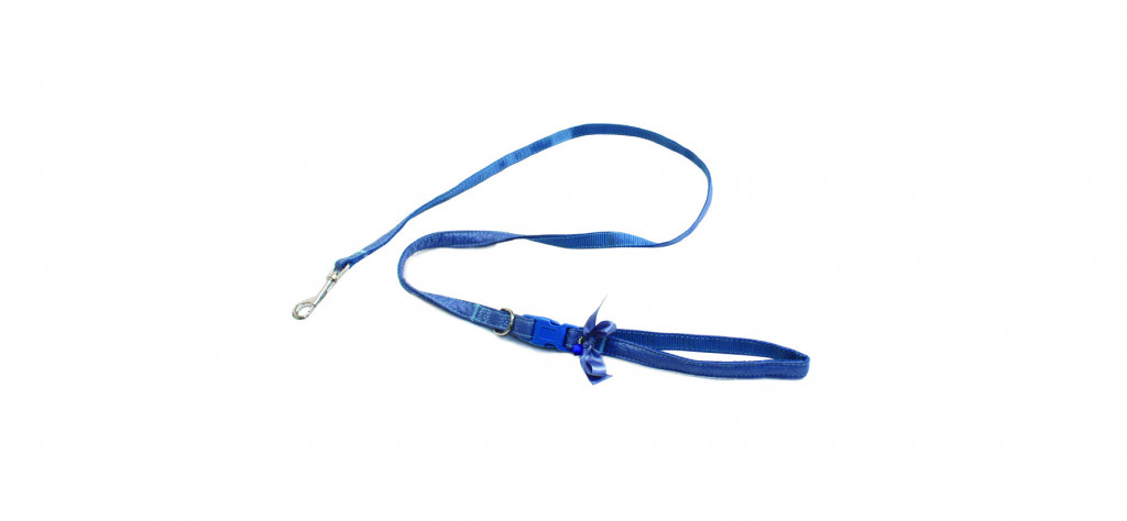 Vodítko Croci Diamond Blue 1,5x120 cm | modrá