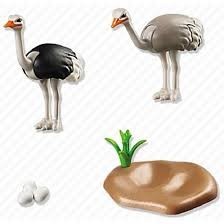 Playmobil 6646 Pštrosi s hnízdem č.2