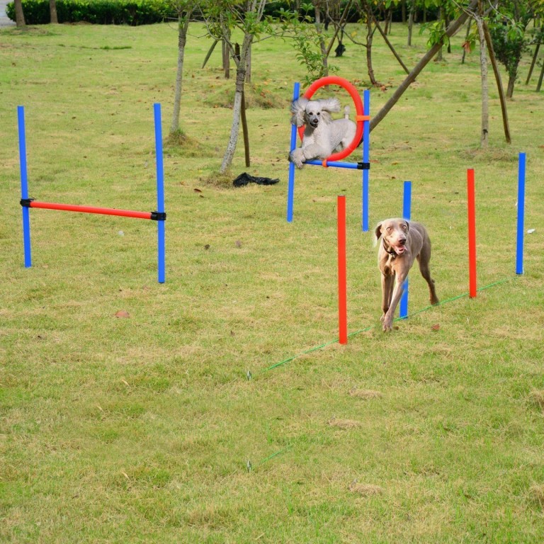 Agility překážky pro psy | sada 3 typy